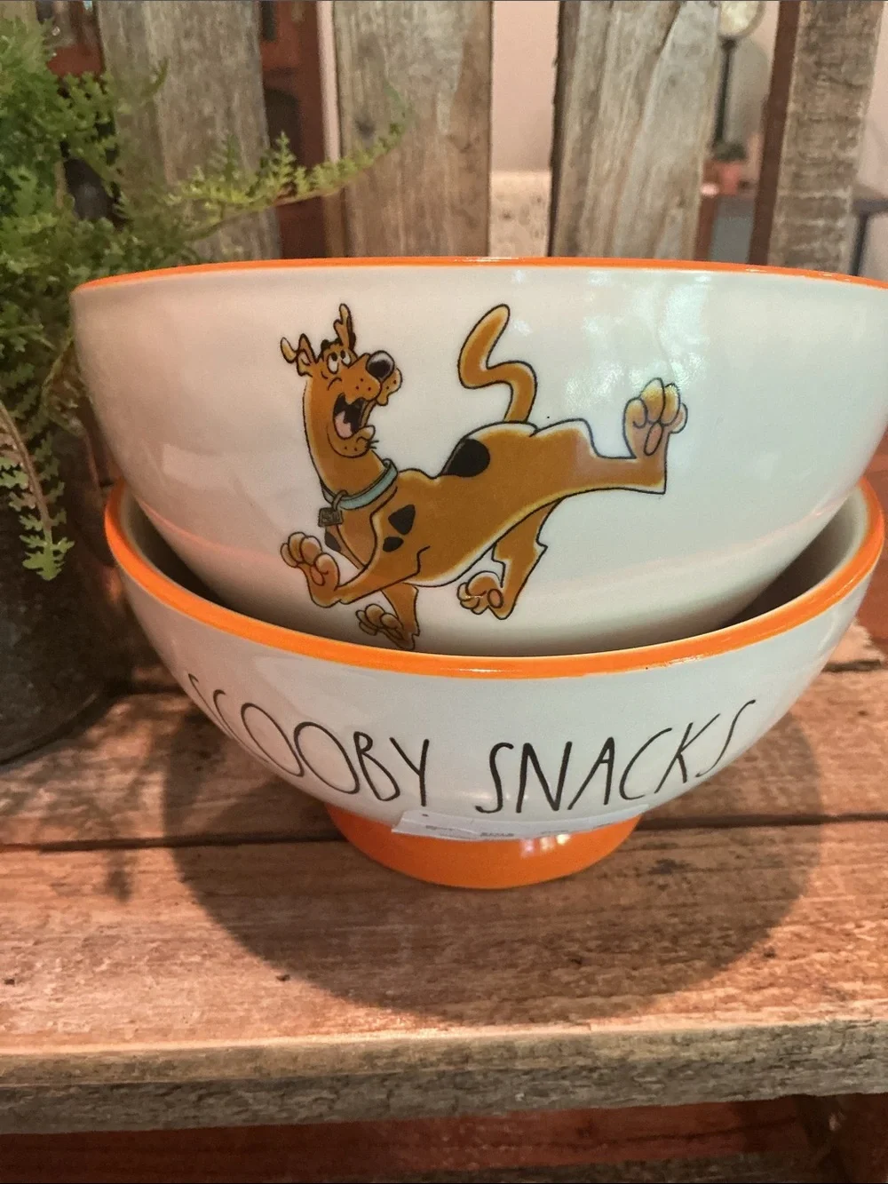 Rae Dunn Scooby Doo SCOOBY SNACKS Bowls - Set of 2